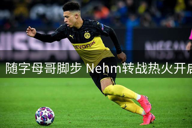 随字母哥脚步 Nehm转战热火开启新篇章